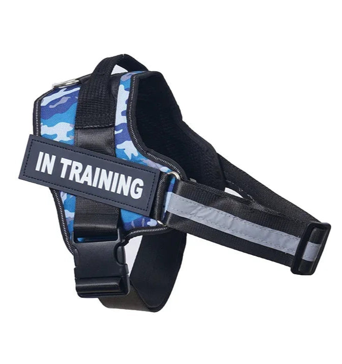 Customizable, no-pull neck harness