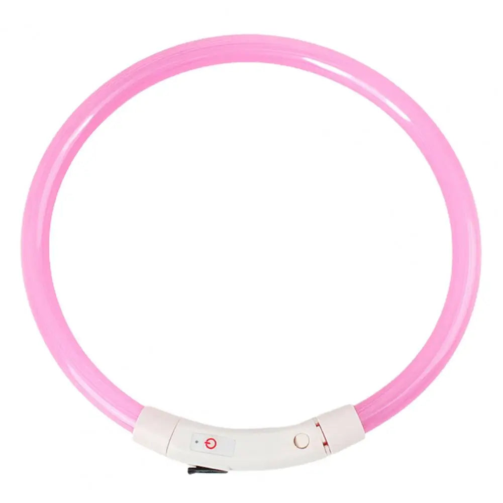 Light-up dog collar