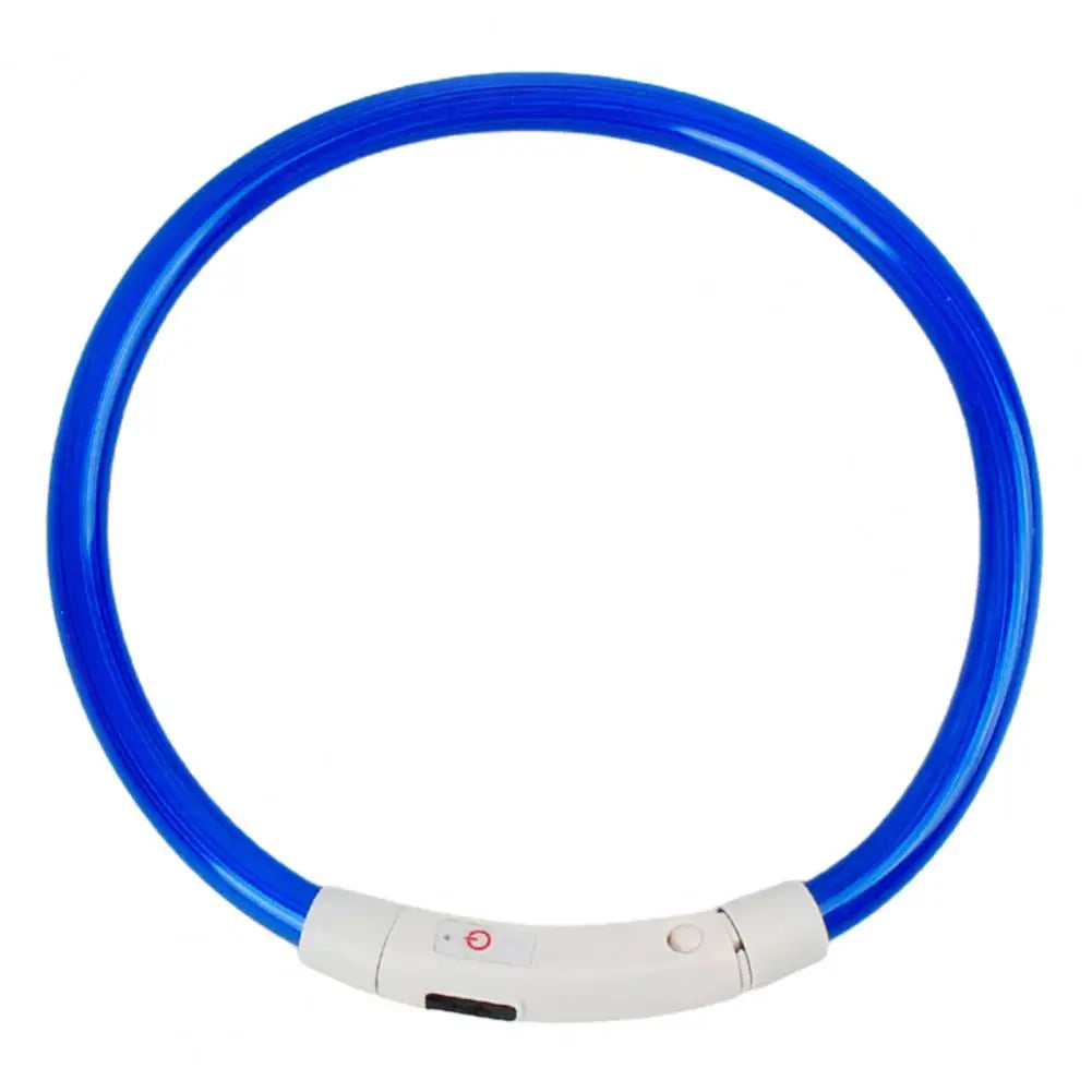 Light-up dog collar