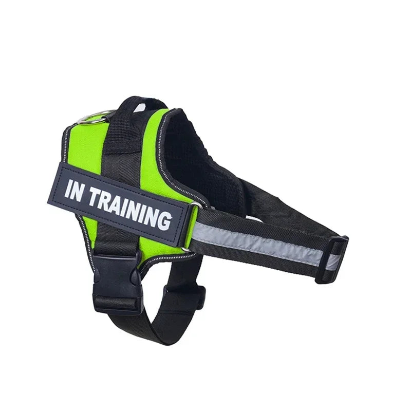 Customizable, no-pull neck harness