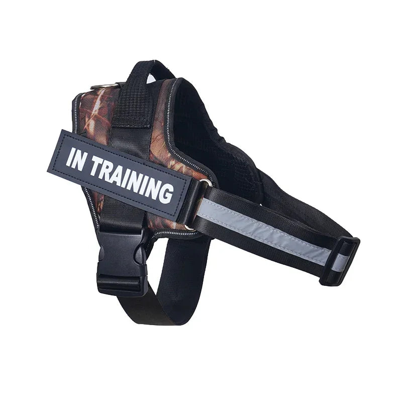 Customizable, no-pull neck harness