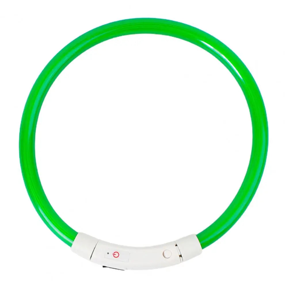 Light-up dog collar