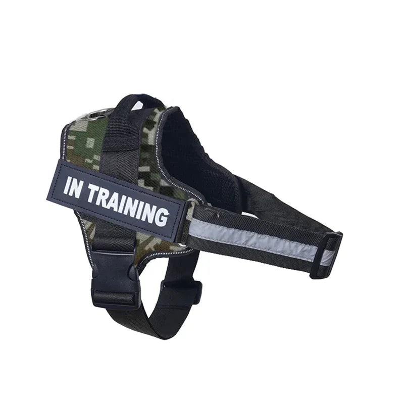Customizable, no-pull neck harness