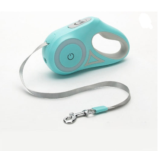 Retractable dog leash with LED and lamp