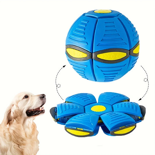 Flying saucer ball for dogs