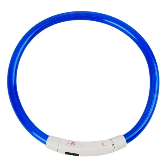 Light-up dog collar