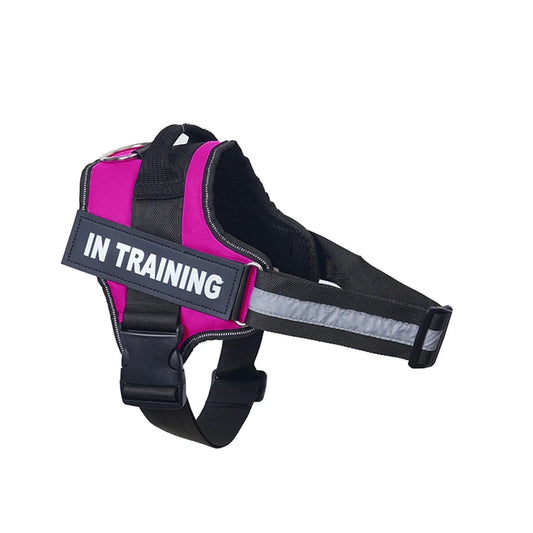 Customizable, no-pull neck harness