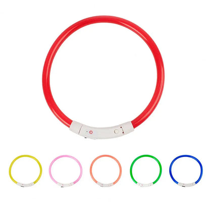Light-up dog collar