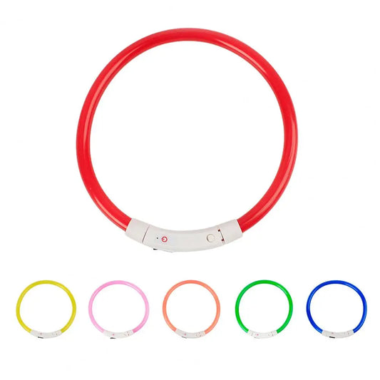 Light-up dog collar