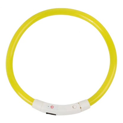 Light-up dog collar
