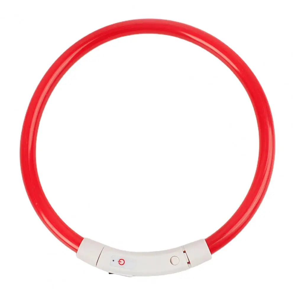 Light-up dog collar