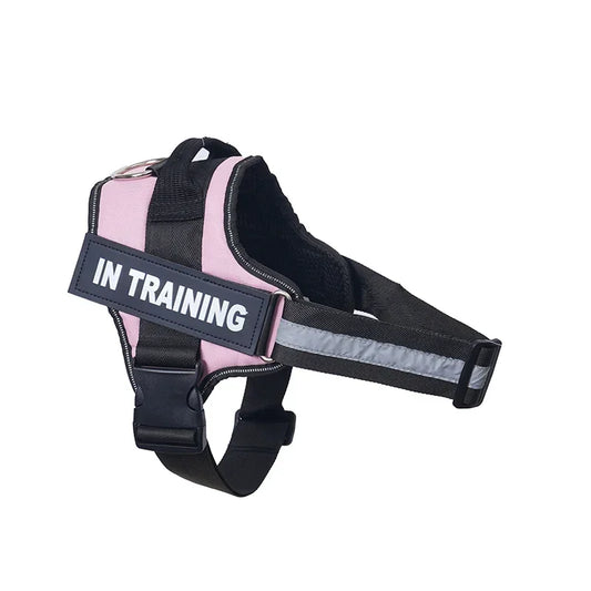 Customizable, no-pull neck harness